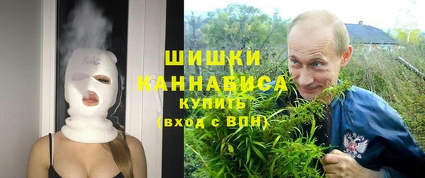 spice Сураж