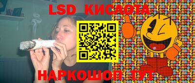 прущие грибы Добрянка